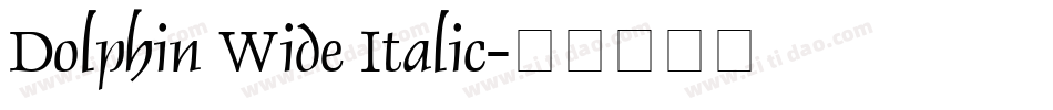 Dolphin Wide Italic字体转换